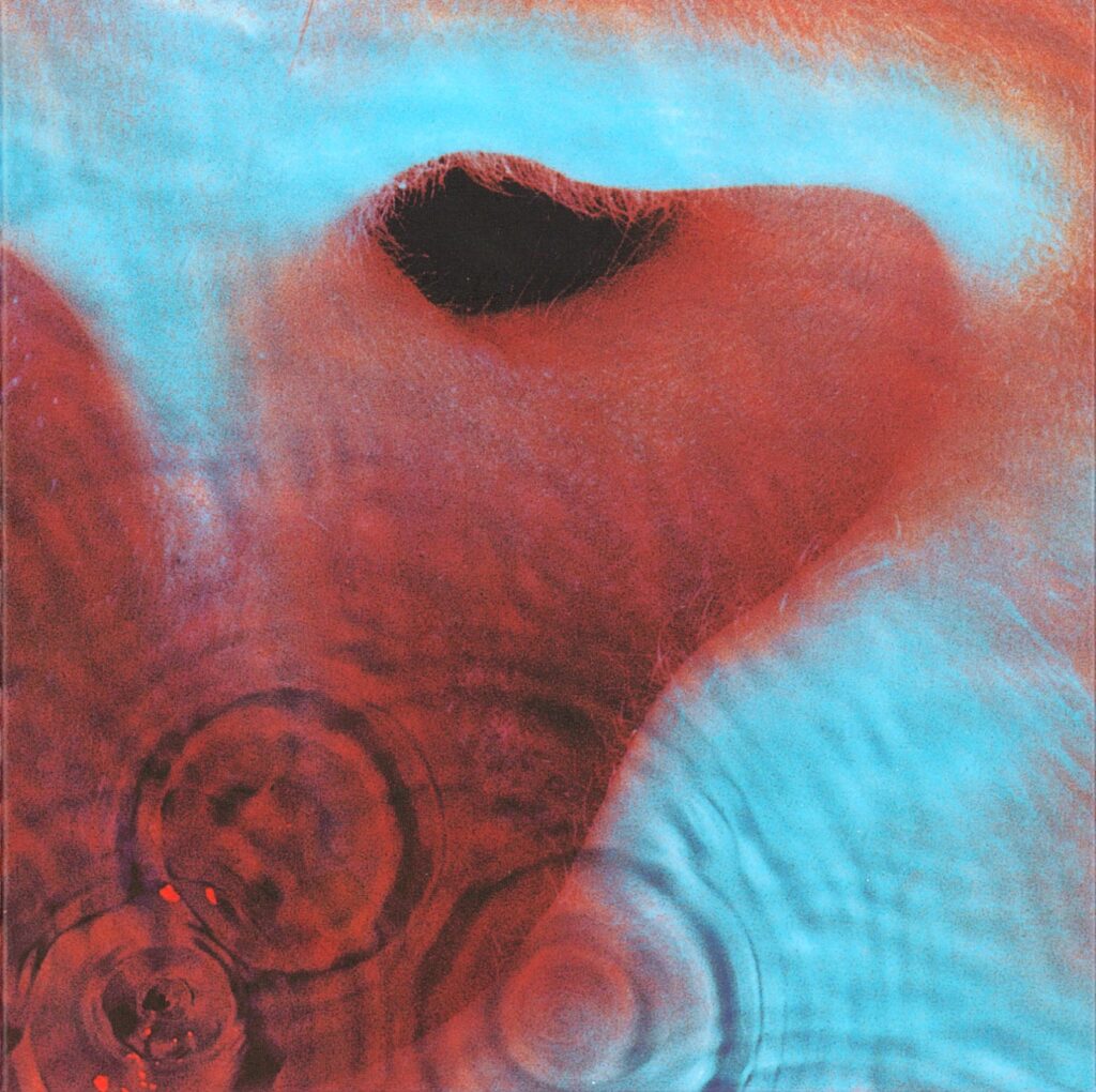 pink floyd-meddle